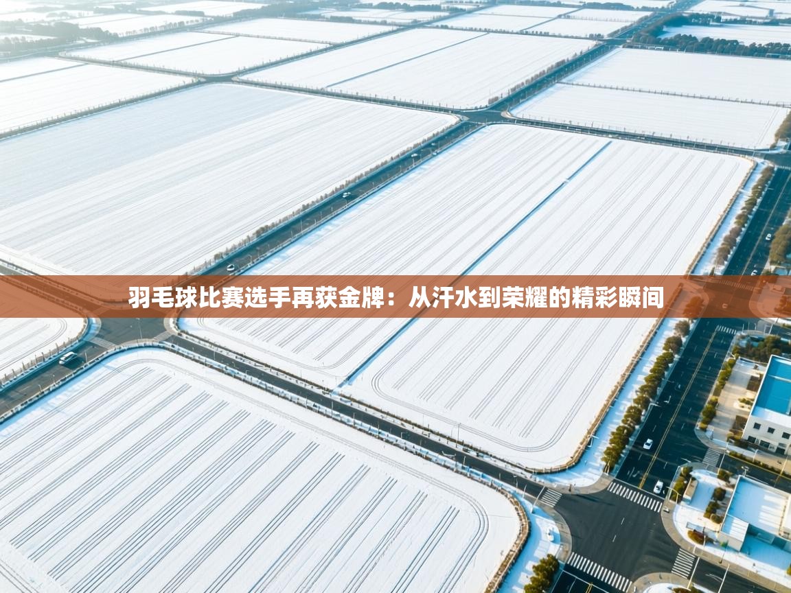 海星体育官网入口-羽毛球比赛选手再获金牌:从汗水到荣耀的精彩瞬间 第2张